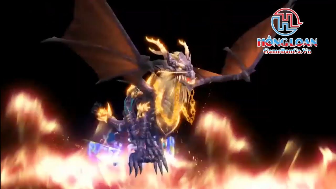 image video 1
